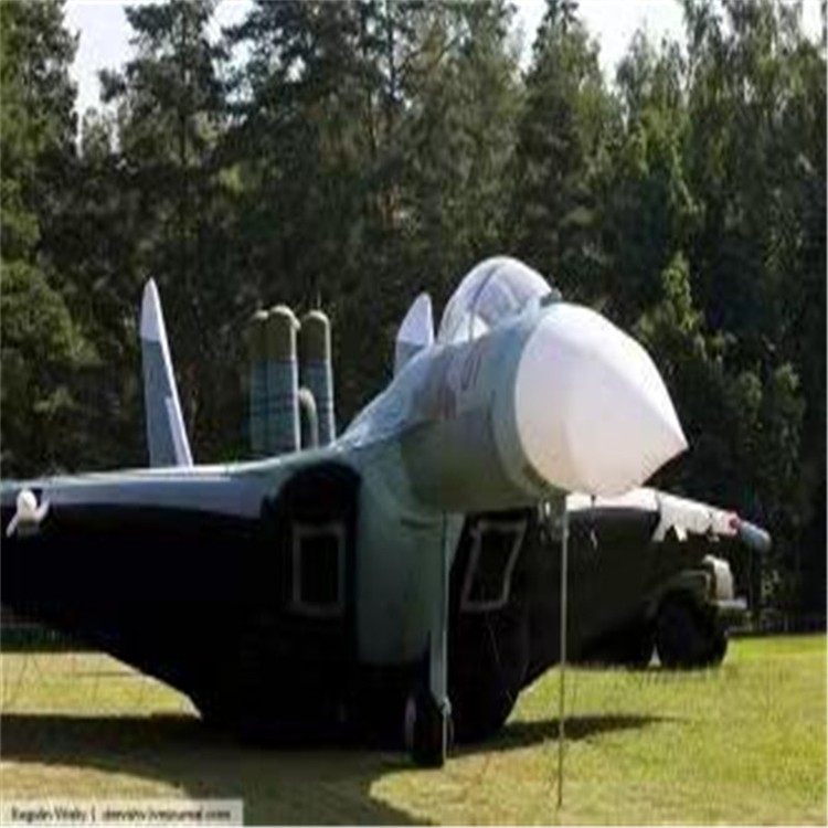 岳池充气模型飞机制造商家